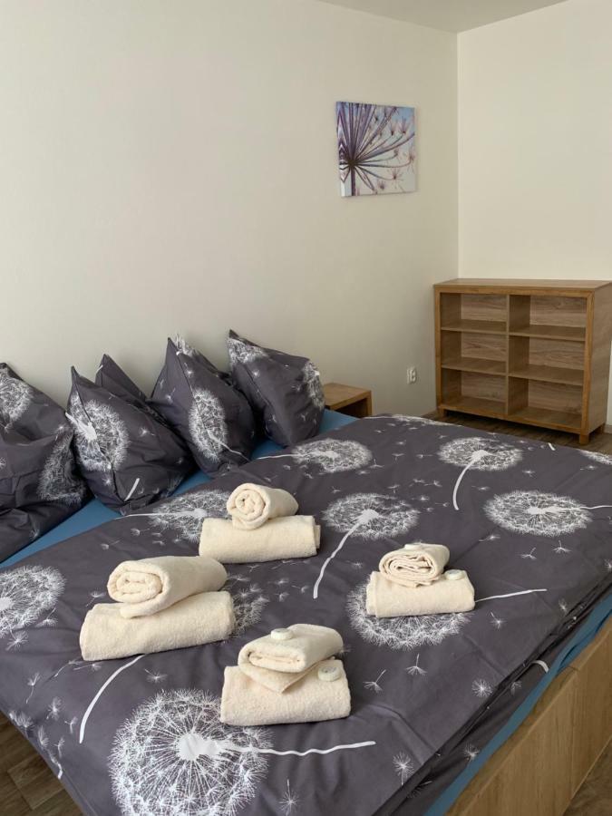 Apartmany Anicka Zelezna Ruda Bagian luar foto